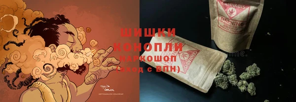 дмт Богородск