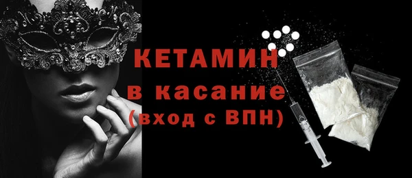 дмт Ельня