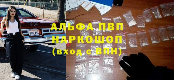 метадон Богданович