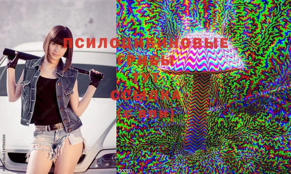 дмт Богородск