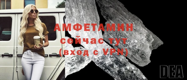 метадон Богданович