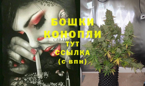 метадон Богданович